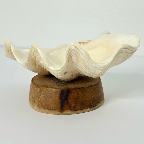 Vintage Sea Shell Dish Handmade Wood MCM Nautical Mid Century Retro - Picture 2 of 6